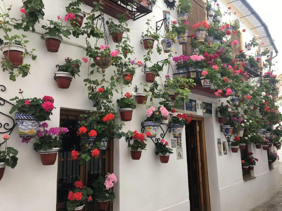 コルドバLa Puerta De La Axerquia Parking Y Wifi Gratisアパートメント エクステリア 写真